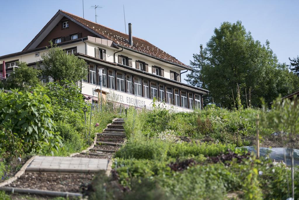 Kraeuterhotel Edelweiss リギ・カルトバート エクステリア 写真